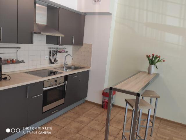 Luxapartament 3 - Z Duzym Tarasem I Garazem W Zeta Park Ustroń Exterior foto